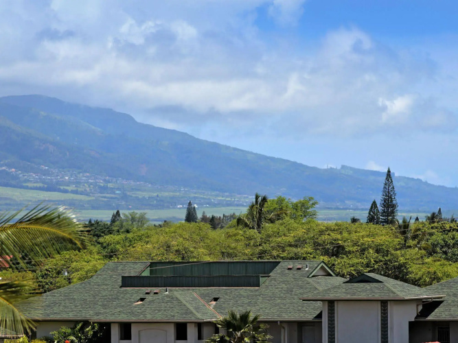 Maui Vista