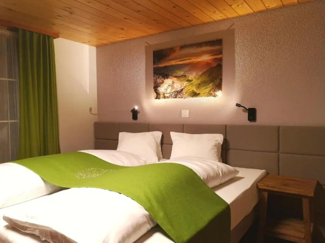 Economy Double room with land view