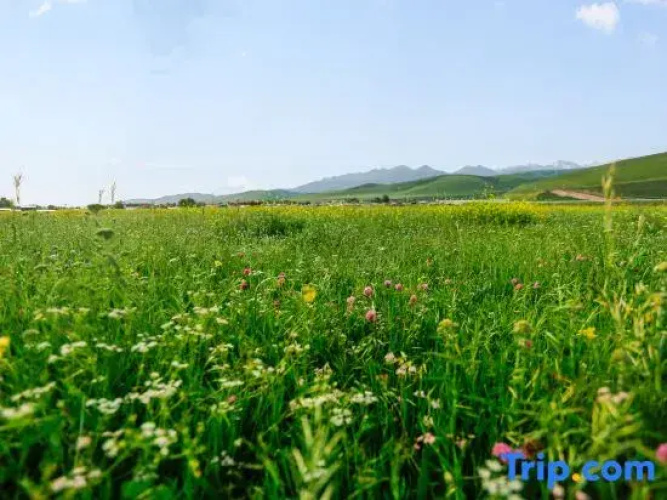 Mountain Jingmu Wo B&B