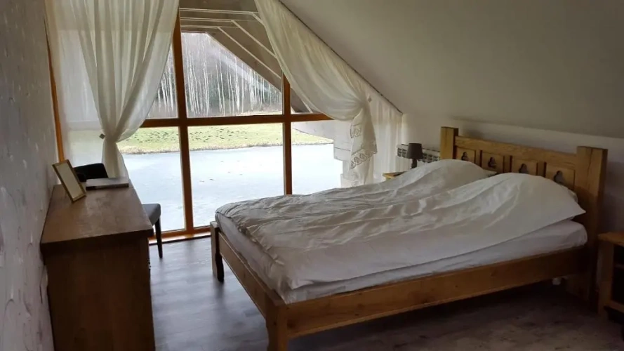 Standard Double room with lake view