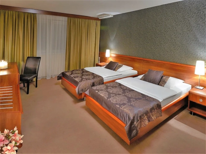 Business Double room
