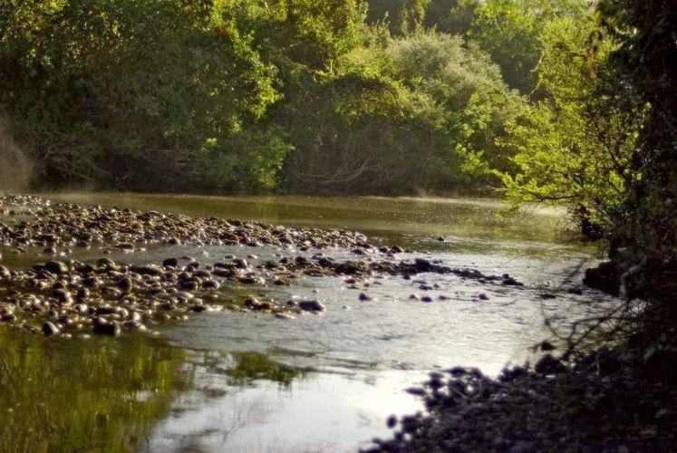Kigio Wildlife Camp