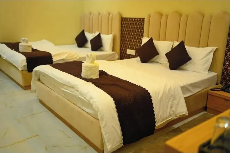 Deluxe Double room with city view