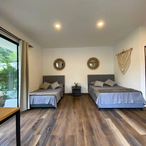 Comfort Suite