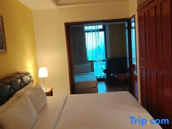 Deluxe Suite with city view
