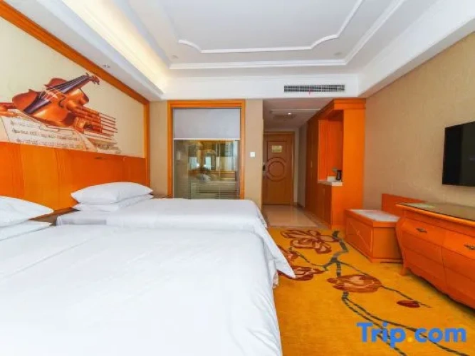 Standard Double room with city view