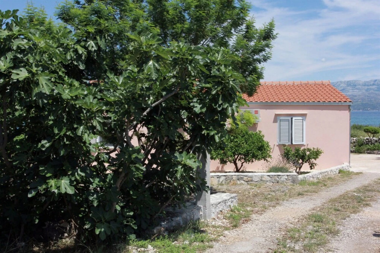 House Vela Njiva
