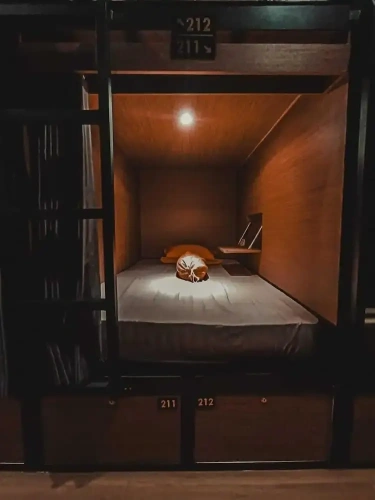 Bed in Dorm