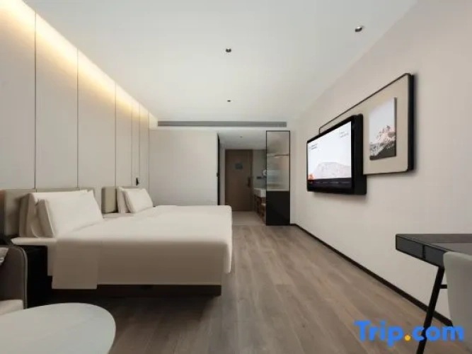 Executive Twin room