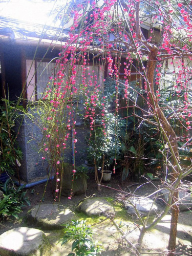 Ishiya Ryokan