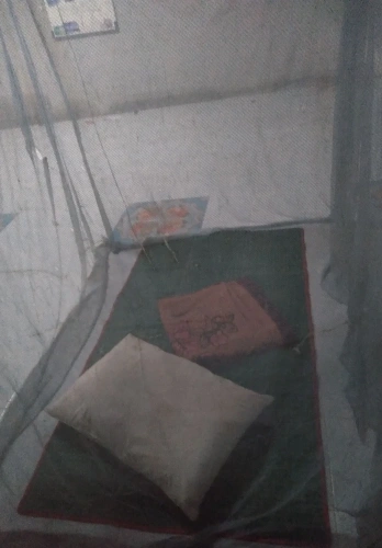 Bed in Dorm