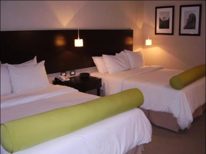 Trinitarias Suites