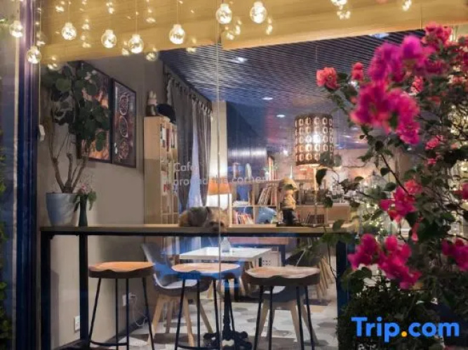 Xw Hotel Shenzhen Oct