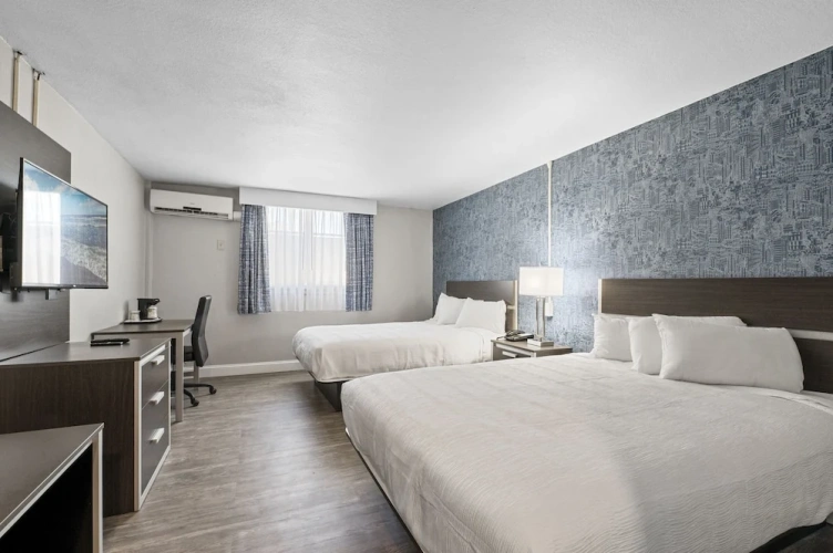 Economy Double Basement room