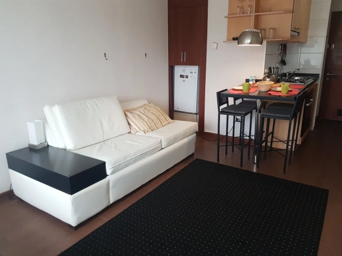 Classic Apartment