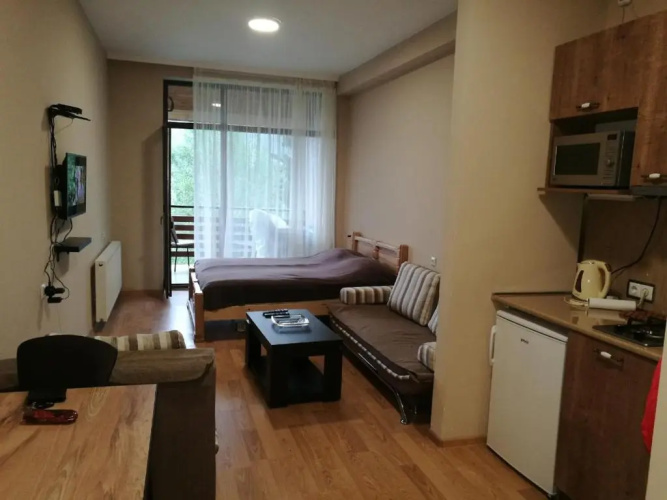 Studio in Bakuriani City