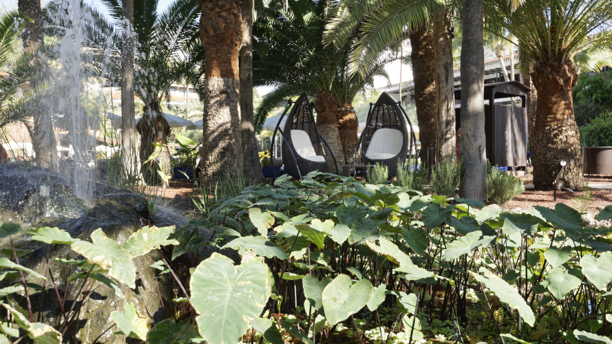 Parque Tropical photo 19