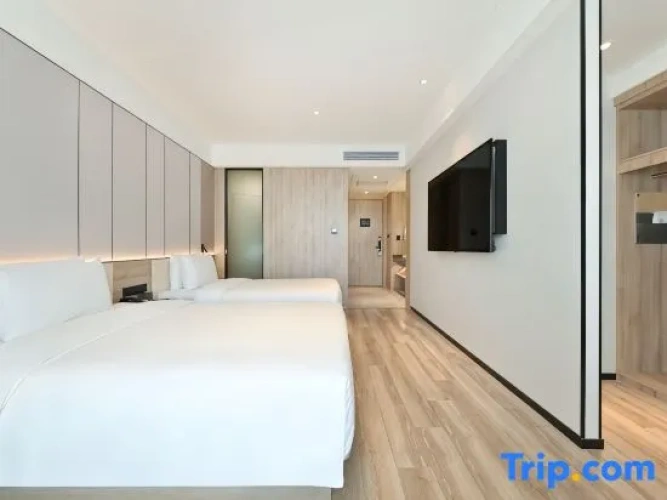 Executive Twin room with city view