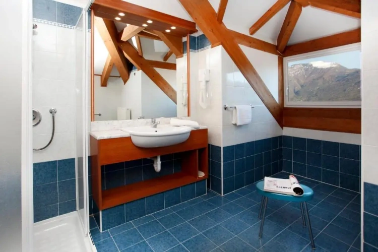 Standard Double room with lake view