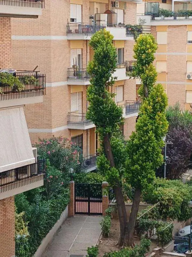 A Casa di Antonella