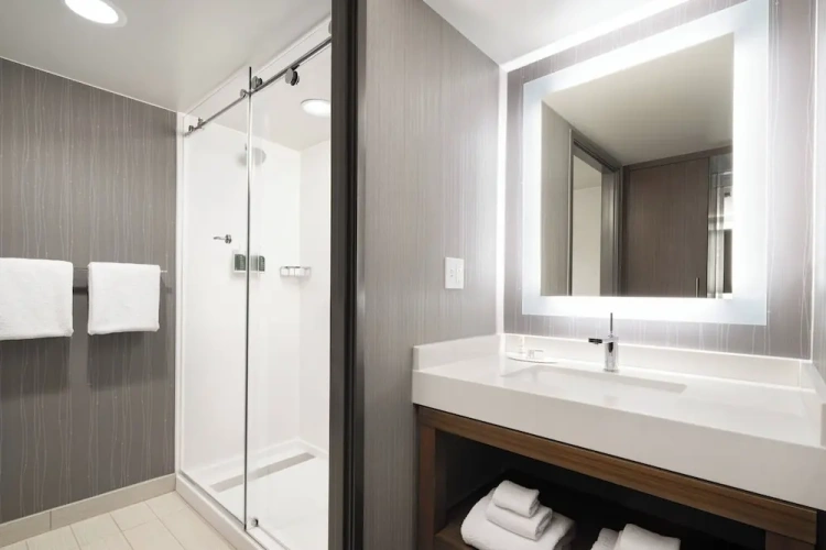 1 Bedroom Suite with lake view