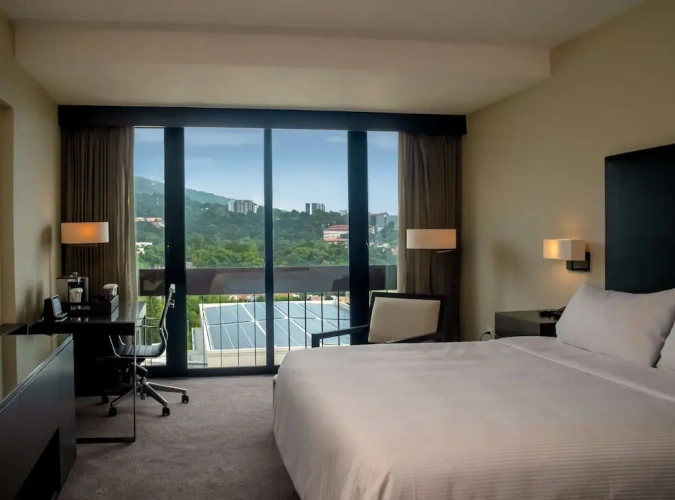 Executive Double room with mountain view