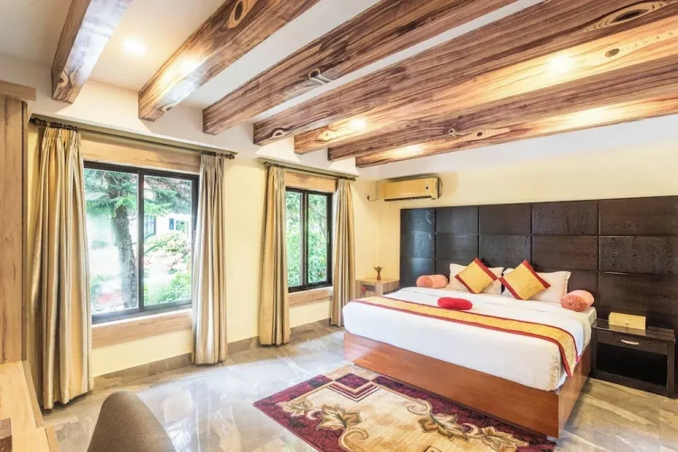 Executive Suite