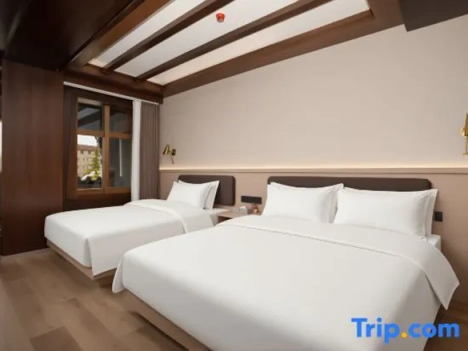Deluxe Double room with garden view