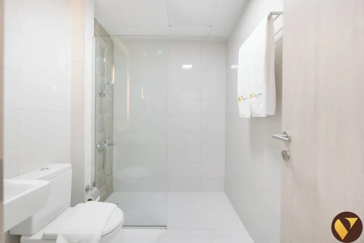 Luxury Apartment