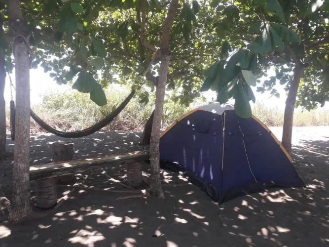 Tent