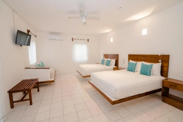 Standard Quadruple room with pool view