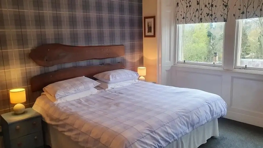 Standard Double room with garden view