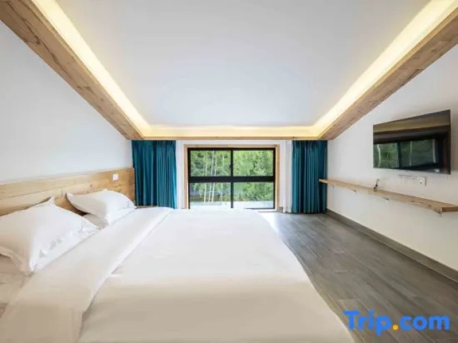 Standard Double room with mountain view