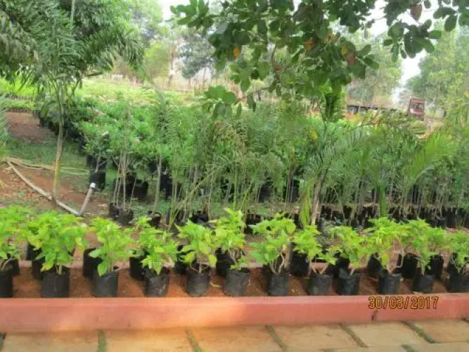 Nisarga Agro Resort