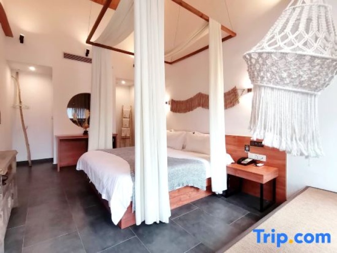 Luxury Double room