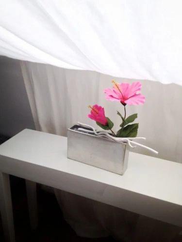 1 Bedroom Studio