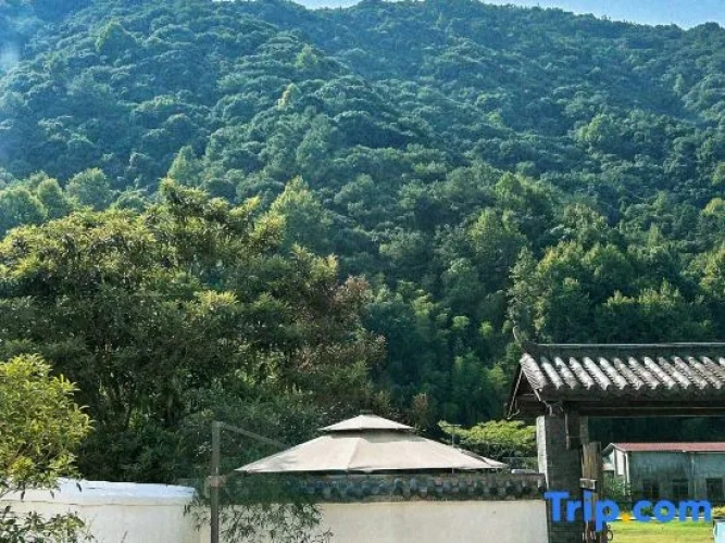 Outside