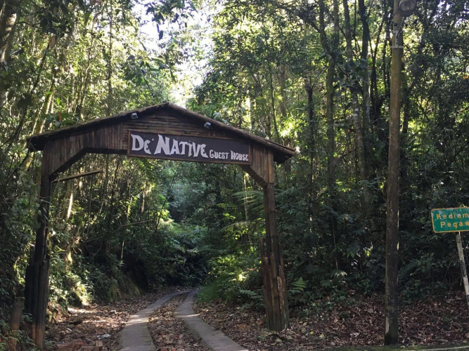 De' Native Guest House - Hostel