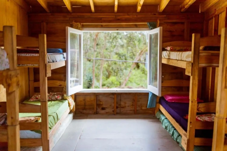 Bed in Dorm