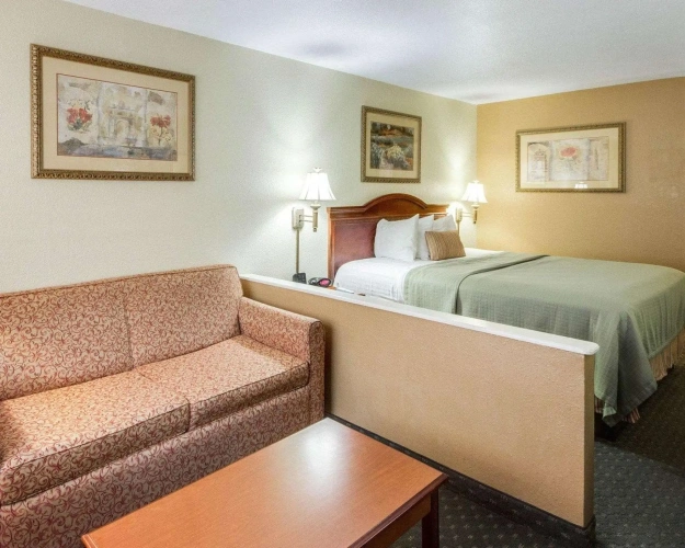 1 Bedroom Suite