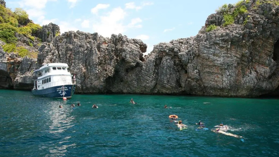 Sea Culture