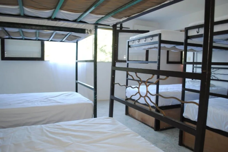 Lobo Inn - Hostel