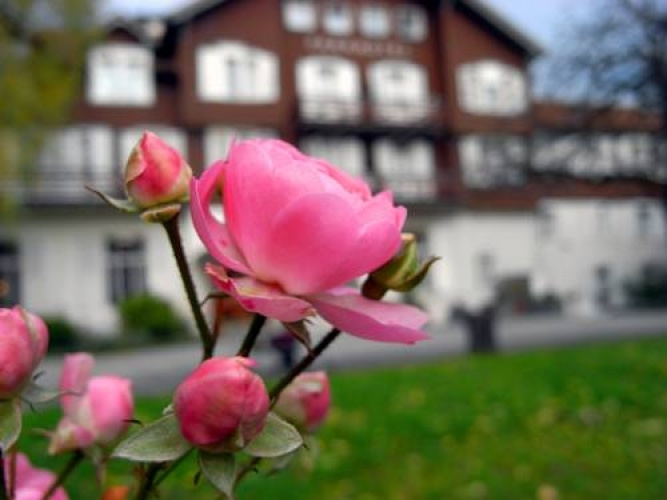 Parkhotel