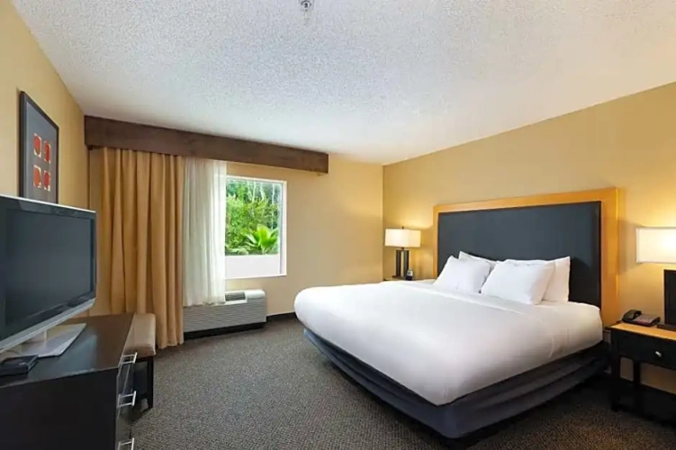Double Studio suite