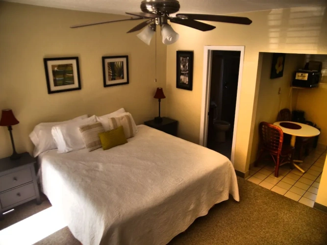 Premium Double Studio with garden view