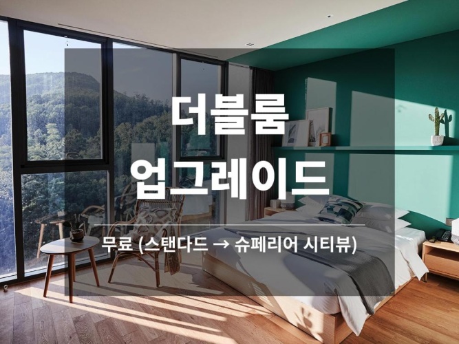 Standard Double room with city view