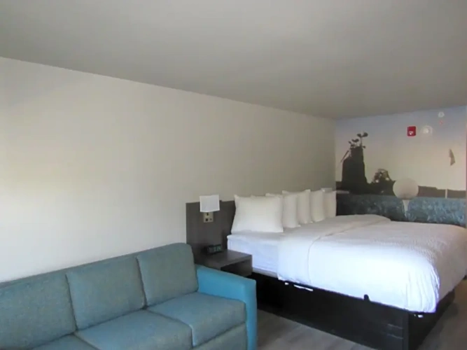 Double Suite