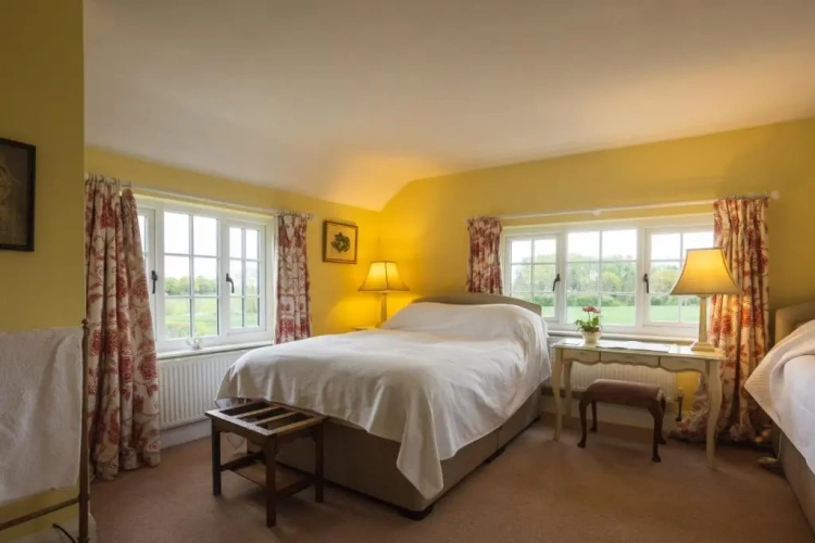 Standard Twin room with view