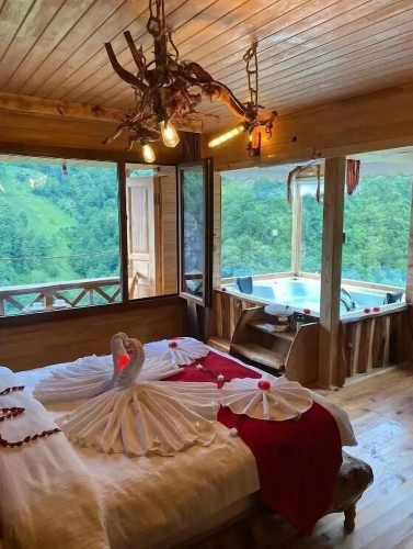 Standard Double room with river view