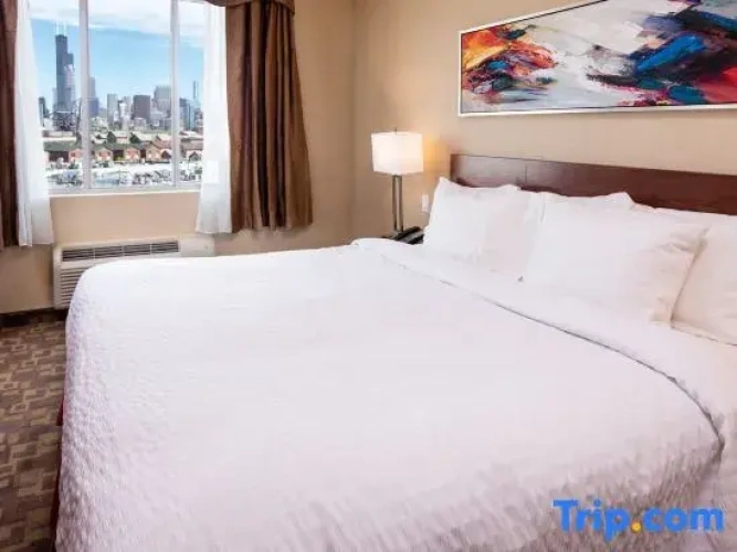 Single Suite